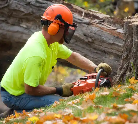 tree services Piermont